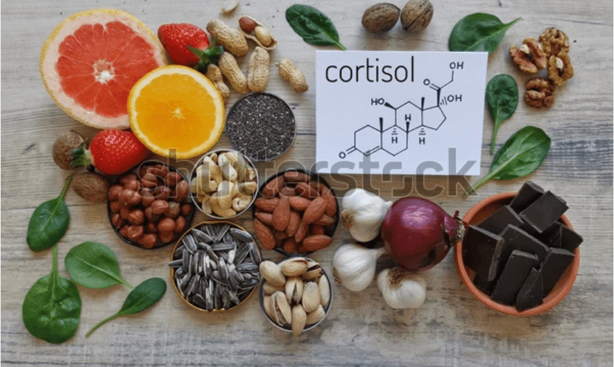 10 Foods That Naturally Lower Cortisol Levels