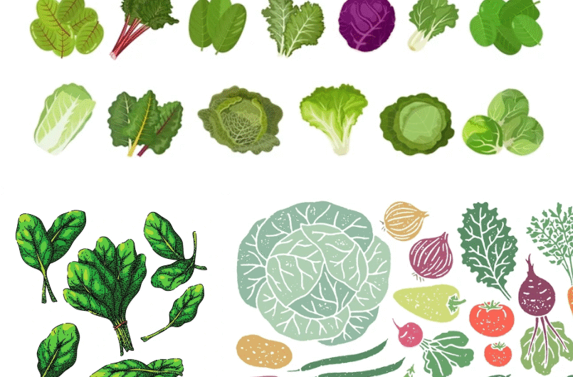 5 Powerful Foods That Naturally Lower Blood Pressure