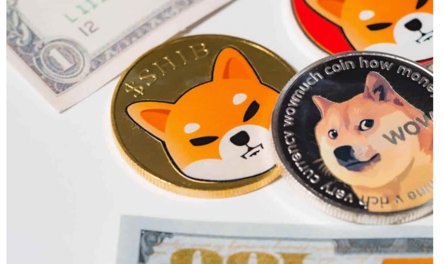 DOGE vs SHIB: Which Meme‑Coin Is the Better Buy for H2 2025