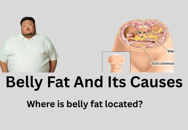 What Is Belly Fat