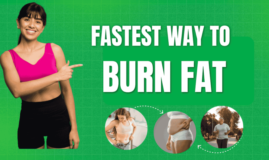 Main Causes of Belly Fat in Men and Women