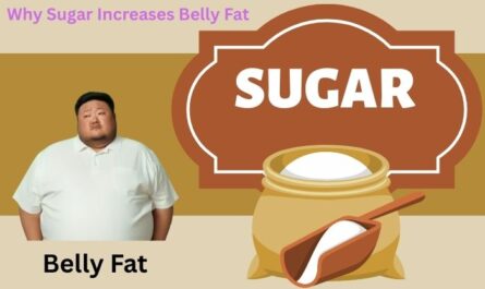 Why Sugar Increases Belly Fat