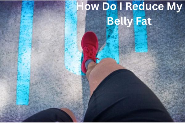What is What is the main cause of belly fat?